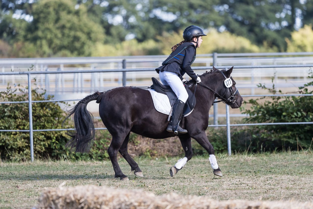 Bild 185 - Pony Akademie Turnier